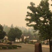 Wildfire smoke was particularly bad this year in some parts of the state.