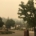 Wildfire smoke was particularly bad this year in some parts of the state.