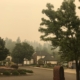 Wildfire smoke was particularly bad this year in some parts of the state.